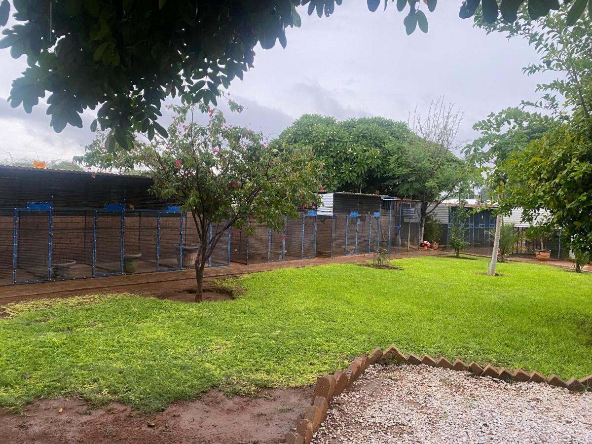El-Kole Bed And Breakfast Tsumeb Exterior foto